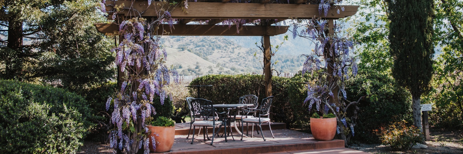 Bennett Lane Winery banner