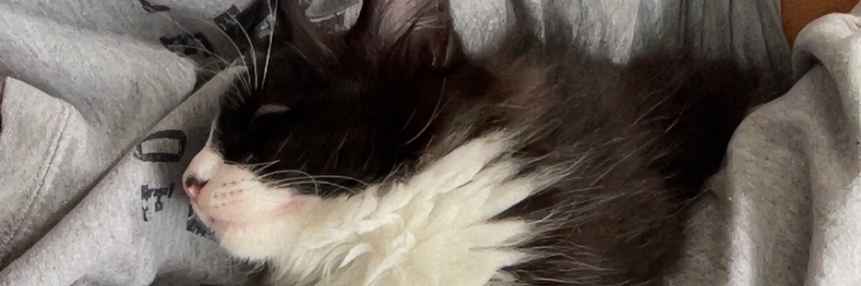tjvh2's profile banner image