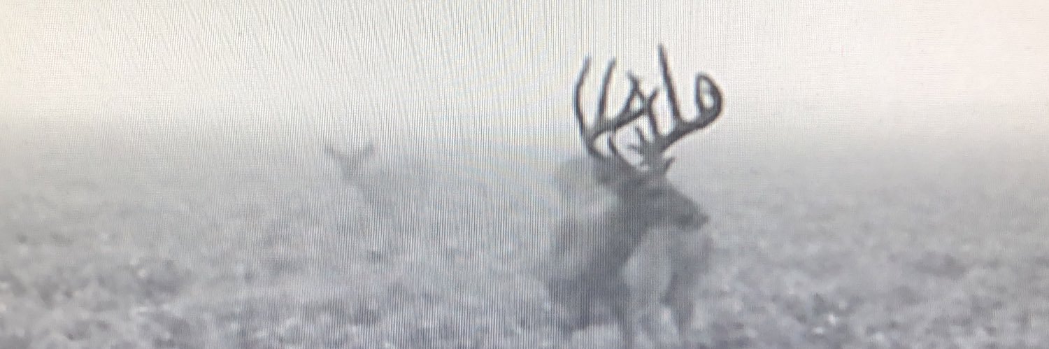 tuffy870's profile banner image
