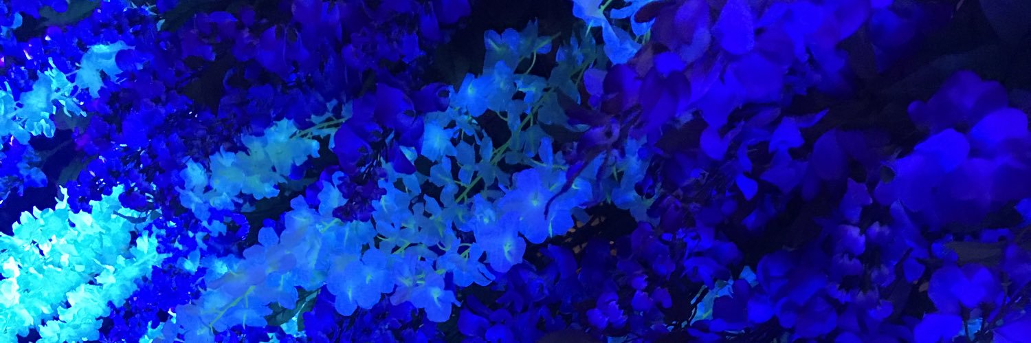 sky_sora5's profile banner image
