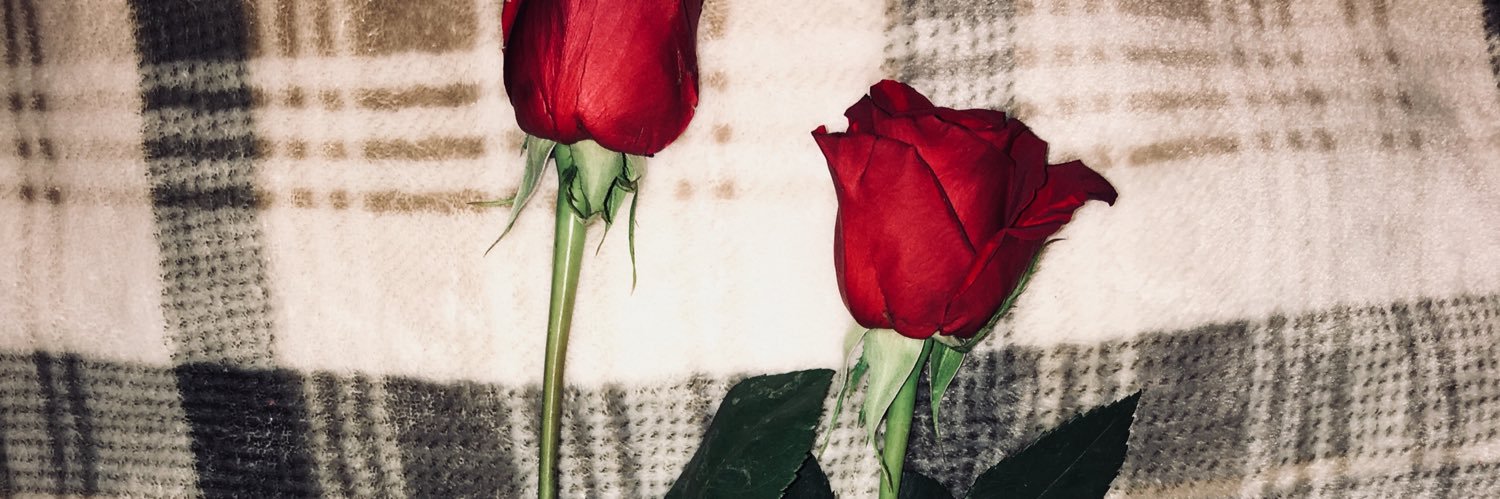 RosaPedraza's profile banner image