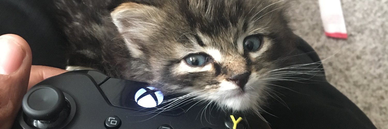 MrGamlin1's profile banner image