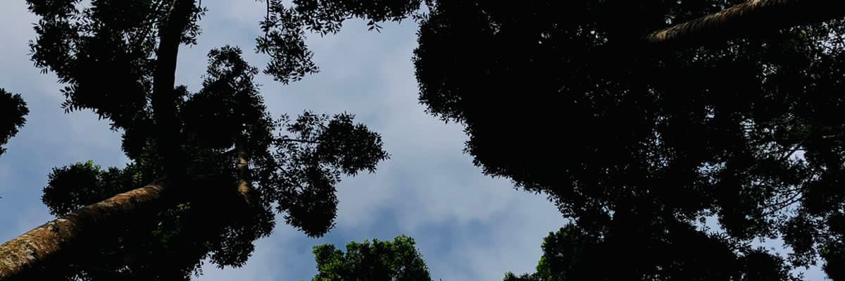 endrijunaedi13's profile banner image