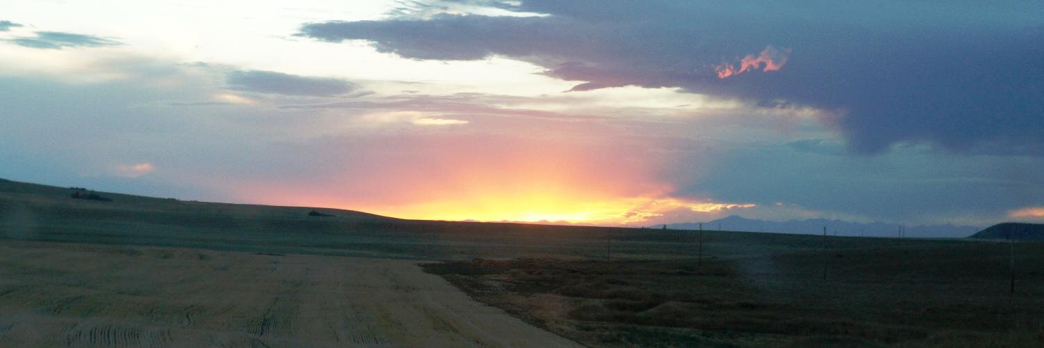 Wallace Wormley banner