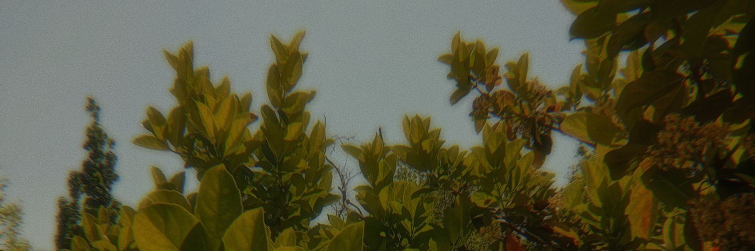 Sebastián banner