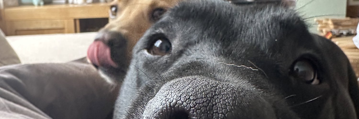 98Harleyy's profile banner image