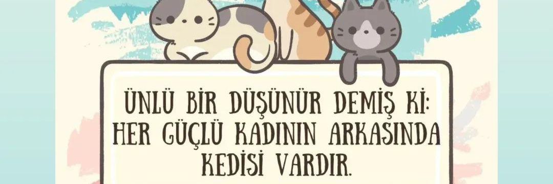 aykrtbst's profile banner image