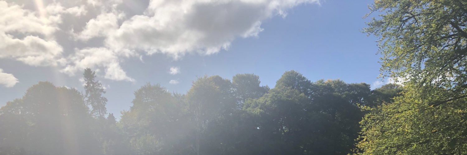 lizm0's profile banner image