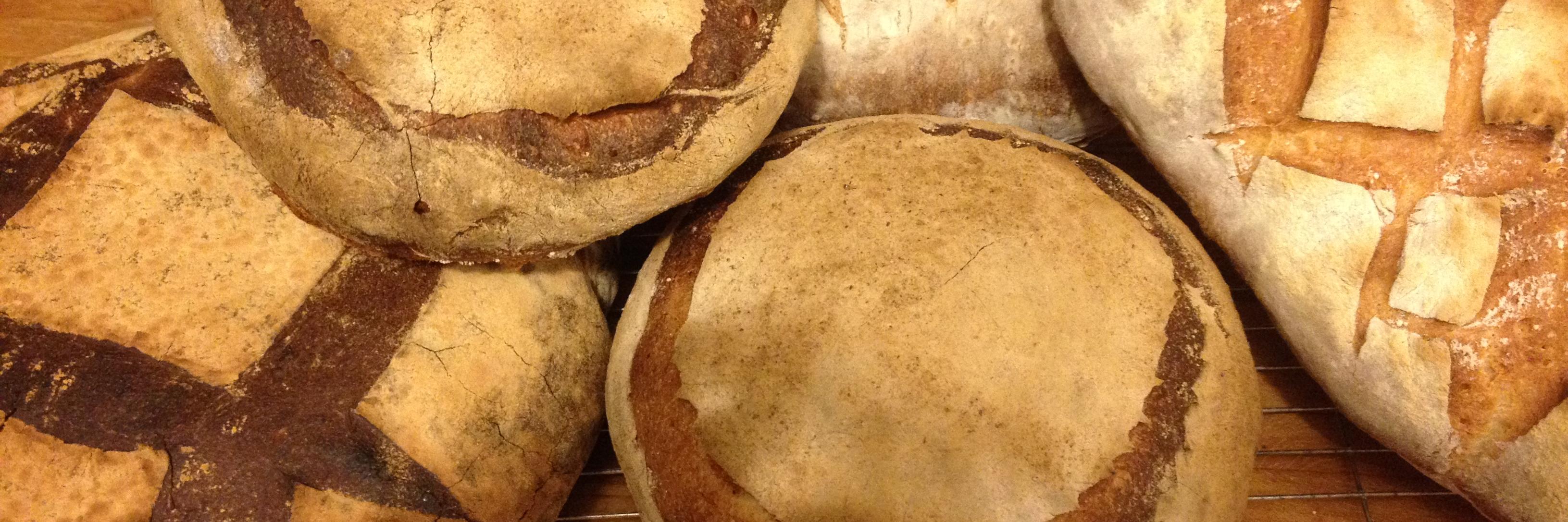 Charles Tugendhat banner