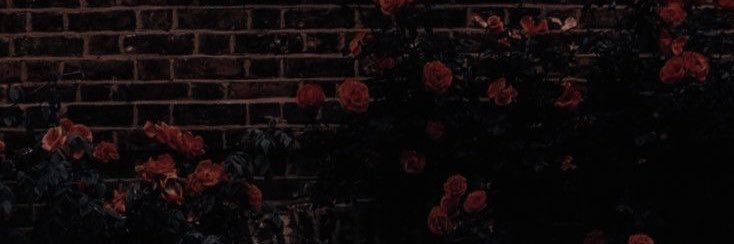 kxxpx's profile banner image
