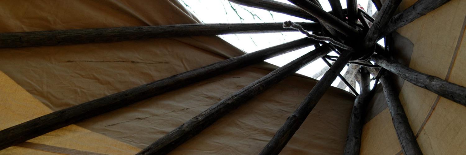 Seán Carson Kinsella (they/he) banner