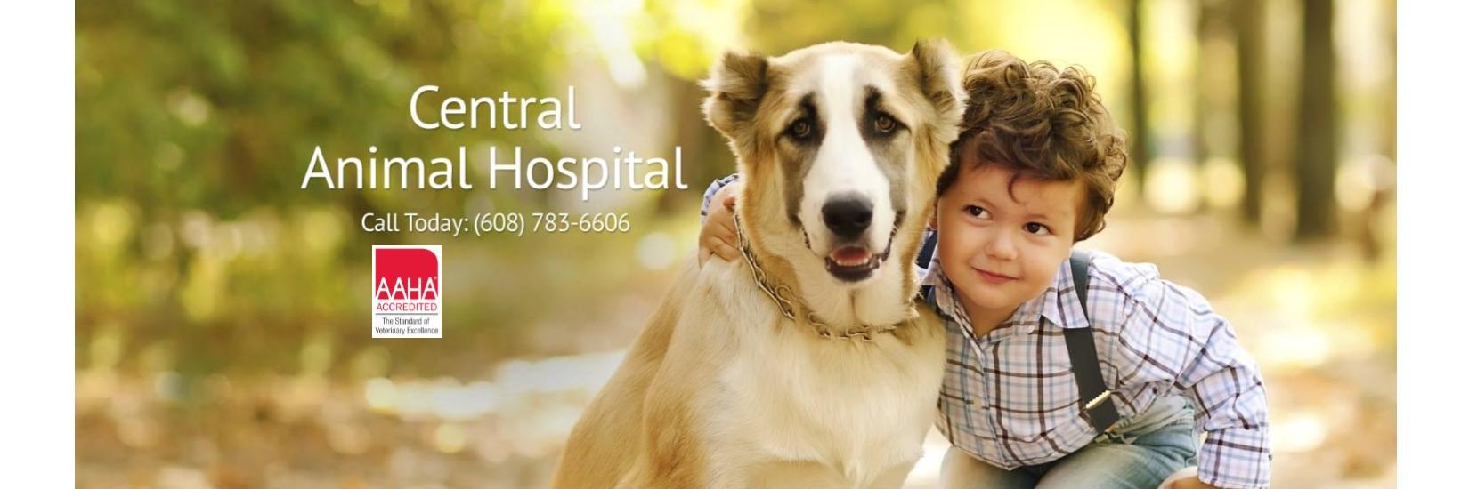 CentralNML's profile banner image