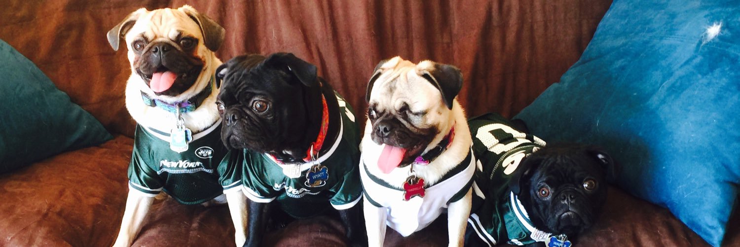 Walter_the_pug's profile banner image