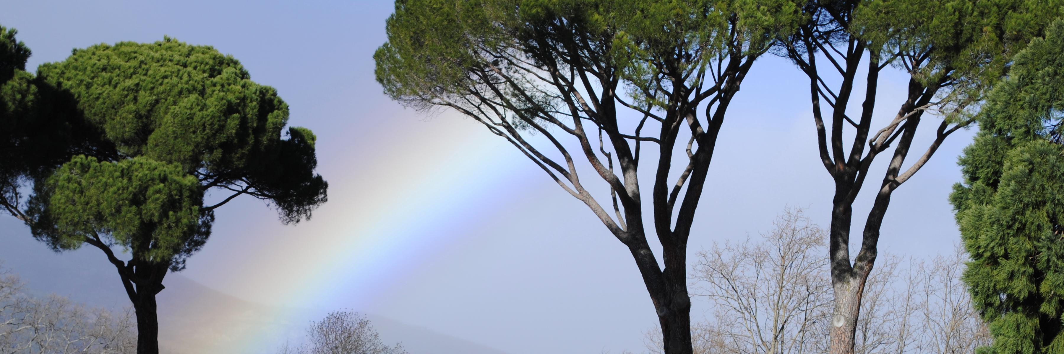 Alfanhuim's profile banner image