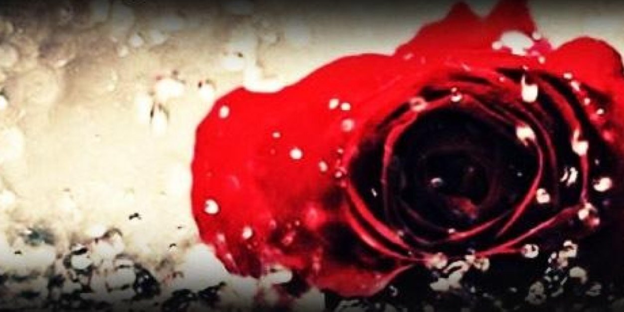RaelynMarie93's profile banner image