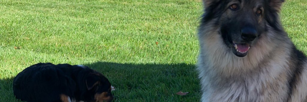 Christian_R28's profile banner image