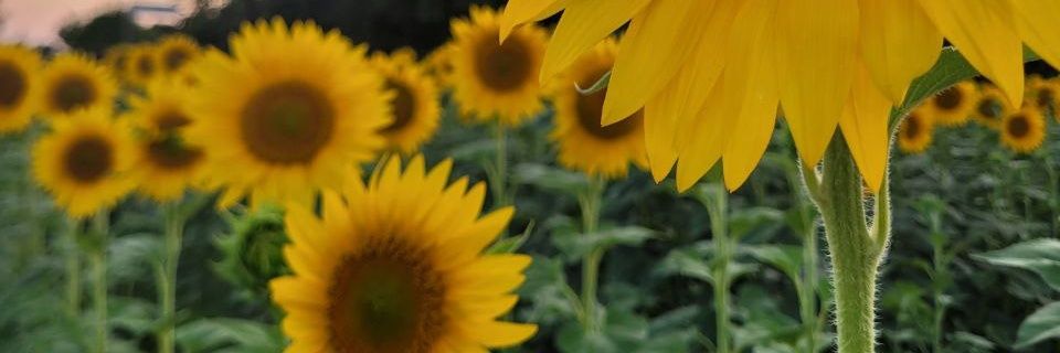 __ouutoftime's profile banner image