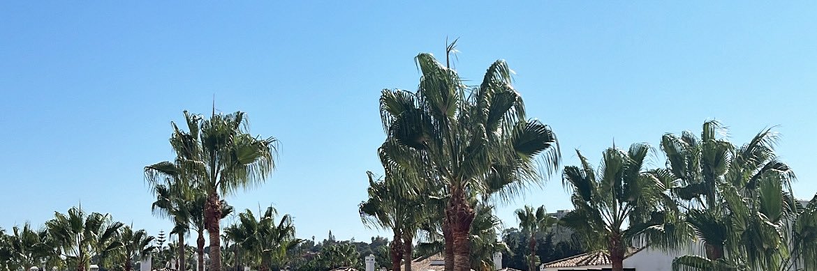 ginagreenx's profile banner image