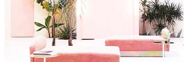 MsConsu's profile banner image