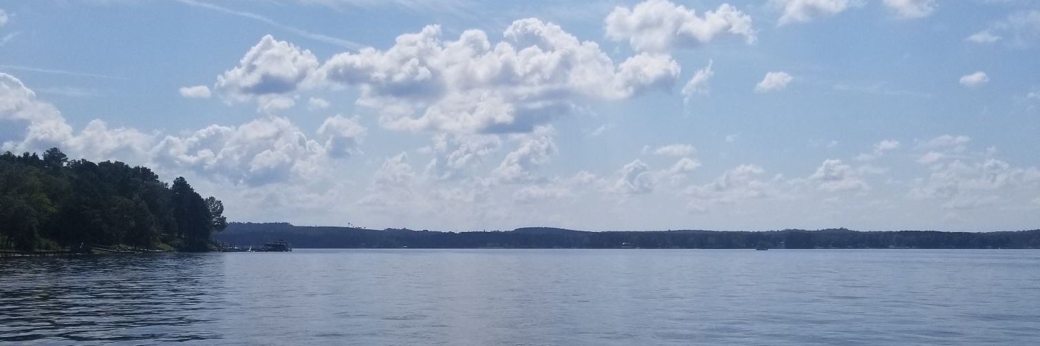 earligator's profile banner image
