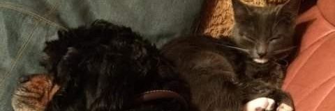 Badfacee's profile banner image