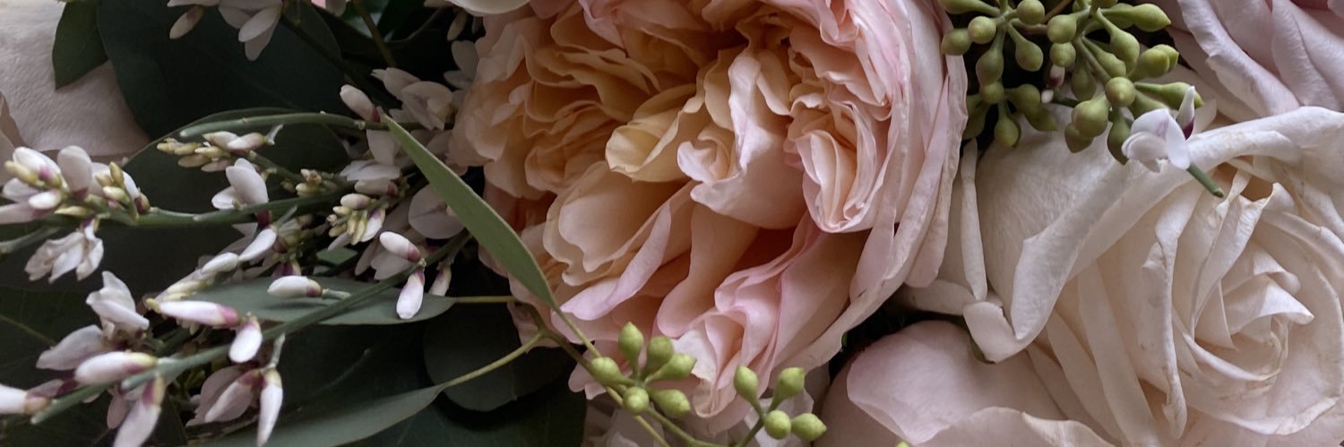 LT_RN's profile banner image