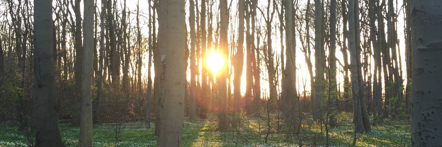 llebasin's profile banner image