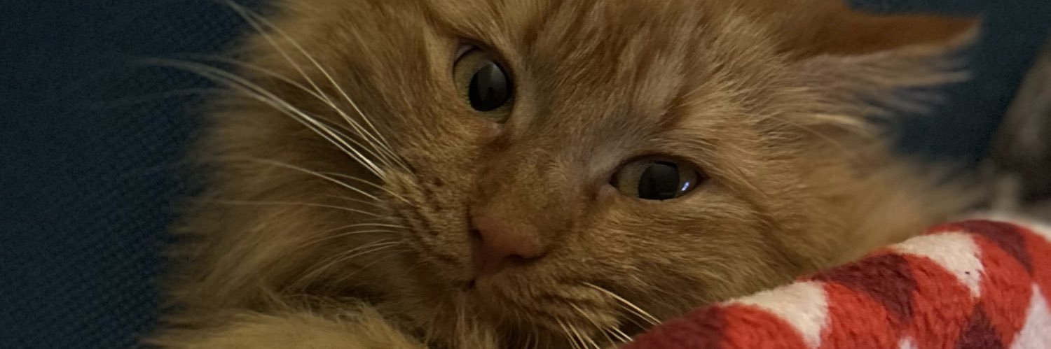 benbilgee's profile banner image