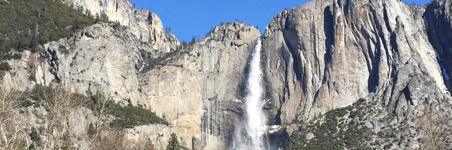 Amy Barrow 👩‍👩‍👦🐶🐶✌🏼 banner