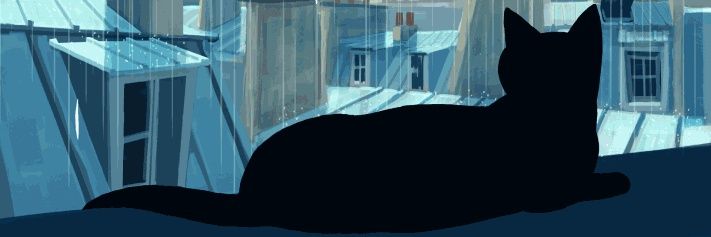 FelineCurse's profile banner image