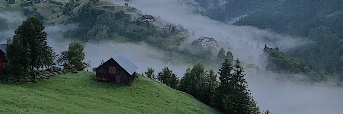 Stefan Koritar banner