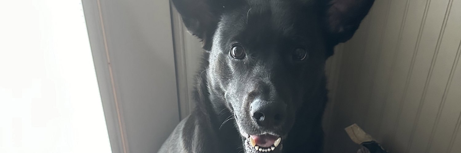 JamesLittle93's profile banner image