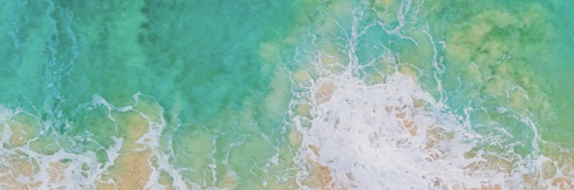 Mandi Cook banner