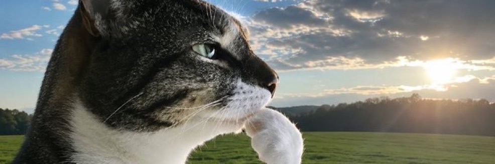 mikeclutch's profile banner image