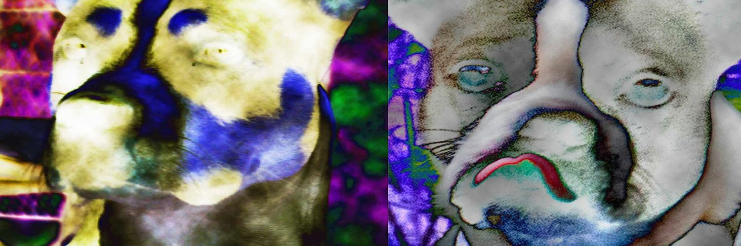 gtsaus1's profile banner image