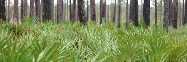 TravisDgibson Profile Banner