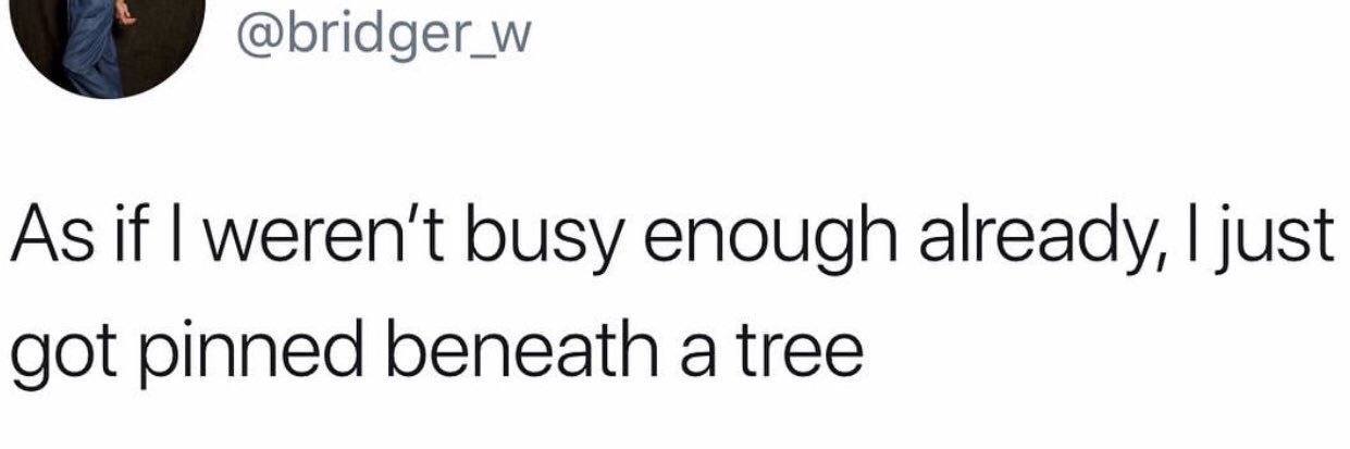 Sara of House Lash banner