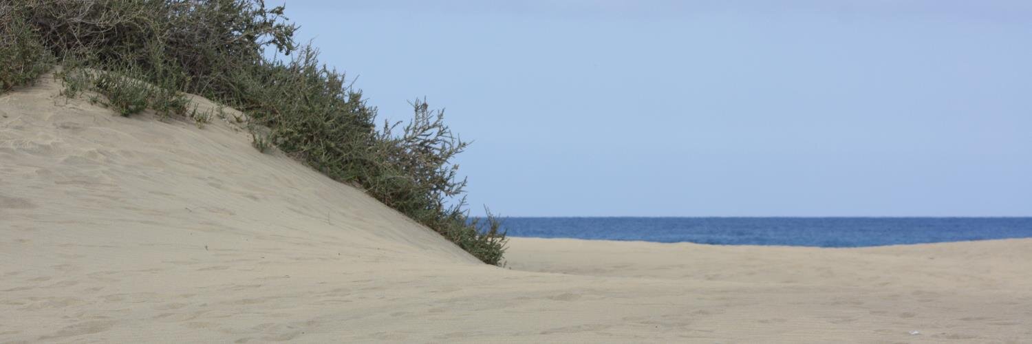 RemoSchuler's profile banner image