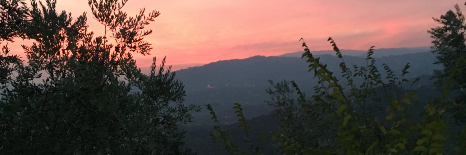 Torayye's profile banner image