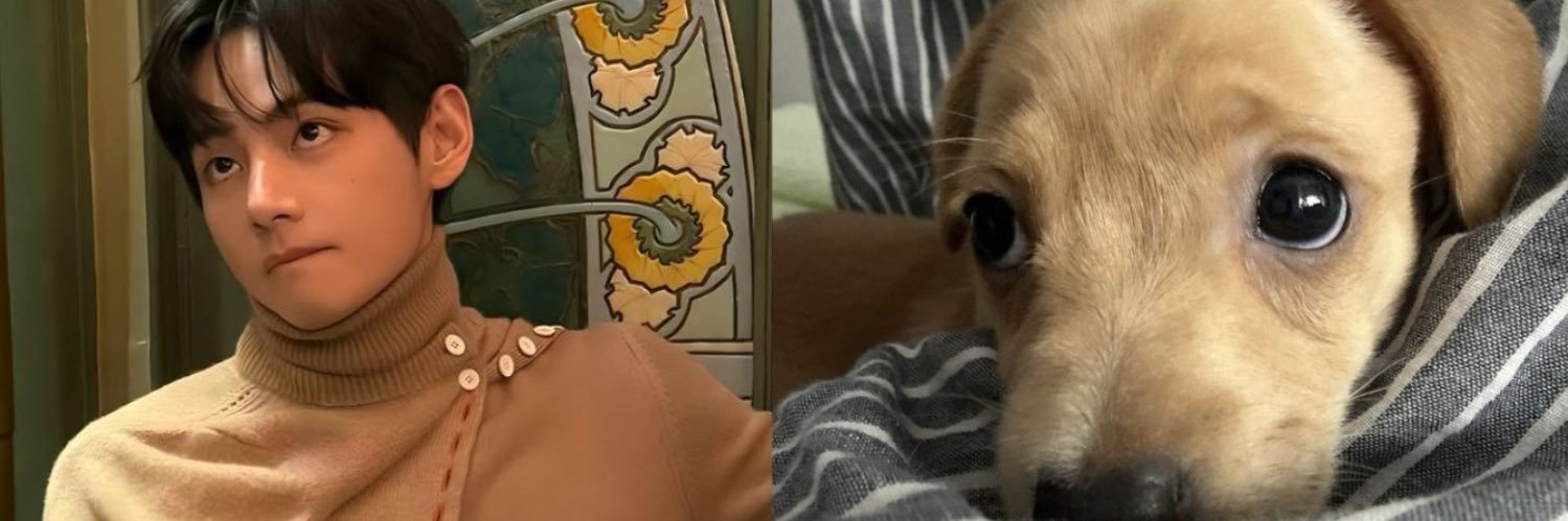 eduarda VAI VER O BTS banner