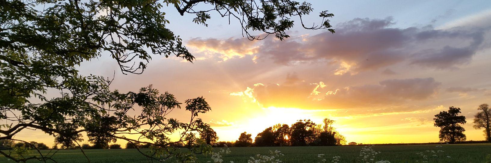 Chris Stanton banner