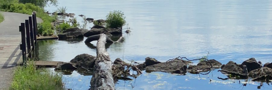 benignpemphigus's profile banner image