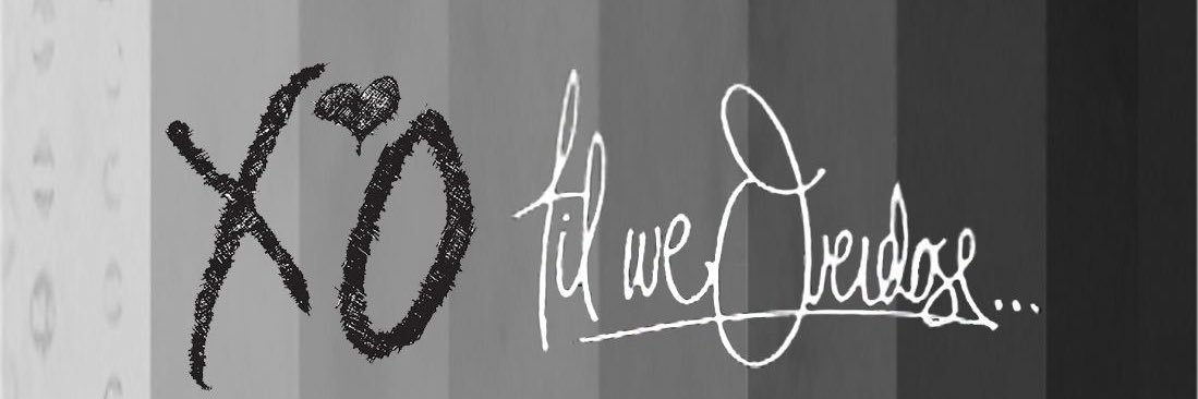 AntParadise's profile banner image