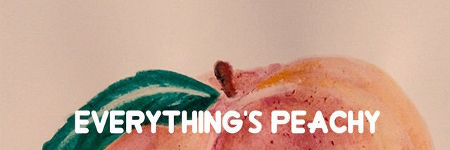 burritonobeans's profile banner image
