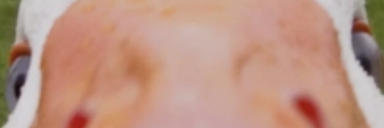 gilmoregrace17's profile banner image