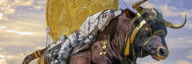 berkay çiftçi banner