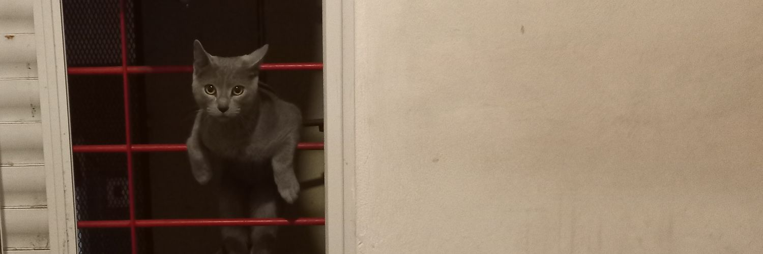 DammaMartinez's profile banner image