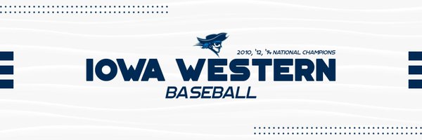 reiverbaseball Profile Banner