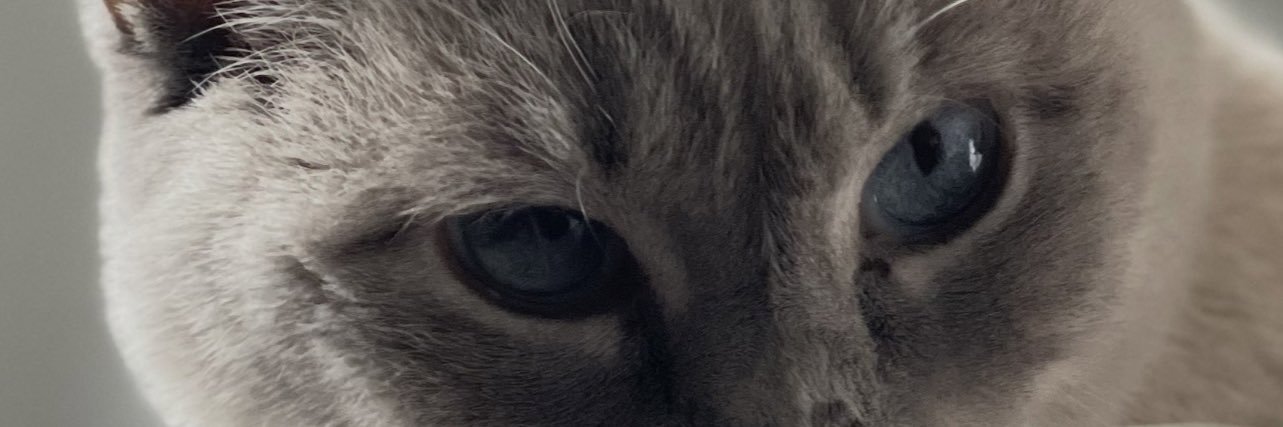walkinghosts0's profile banner image