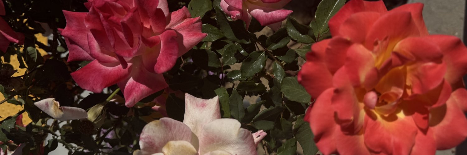 mjwtfff's profile banner image